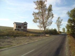 În comuna Smârdan se cultivă vile pe cîmp
