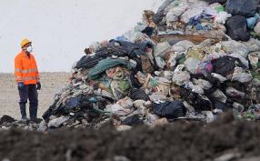 Ecosal nu intervine pînă cînd gunoiul nu se face cît Himalaya
