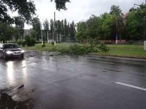 Furtuna a toaletat copacii, dacă ăia de la Gospodărire Urbană SRL Galați nu vor să își facă treaba