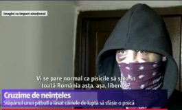 Vi se pare normal ca politicienii să stea în toată România asta, așa, liberi?