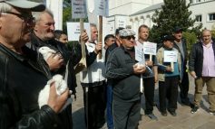Protest de tip struțo-cămilă la Galați: crescătorii de păsări au adus iepuri în fața Prefecturii
