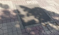 Un idiot din administrația Pucheanu a plantat asfalt în locul copacilor, în stația din Țiglina 1