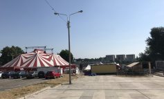 Ăsta da circ! Intrarea la Danube Rock Festival se va face prin spate