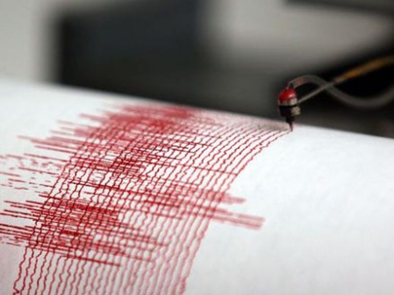 Un cutremur de intensitate medie s-a produs în Vrancea