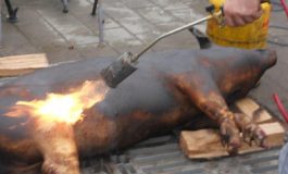 VIDEO/La Galați, porcul se pîrlește pe trotuar, în centrul orașului!