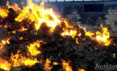 100 de viței au ars într-un incendiu izbucnit la o fermă situată între Brăila și Galați