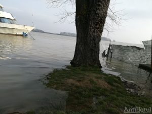 Dunărea a ajuns la cota de inundație