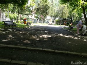 Cauciucuri în loc de flori , într-un parc din Galați
