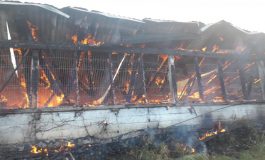 Fostul proprietar al fermei de la Tichilești, care a ars parțial în urma unui incendiu: „Cred că este vorba despre o mână criminală”﻿