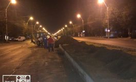 De ce renunță Pucheanu la trandafirii (simbolul PSD) de pe strada Brăilei