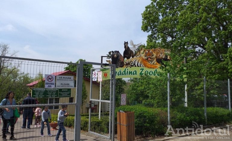 FOTO/ Grădina zoologică din Galați, luată cu asalt. De Paște, gălățenii au făcut coloane prin fața animalelor cazate la Gârboavele