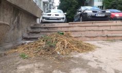 Movila de iarbă cea de toate zilele. Angajații Primăriei nu au reușit să adune gunoiul din mijlocul orașului Galați