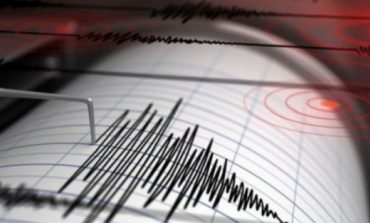 Nu-i protest, ci cutremur. Trei seisme au avut loc în ultimele 20 de ore în Vrancea
