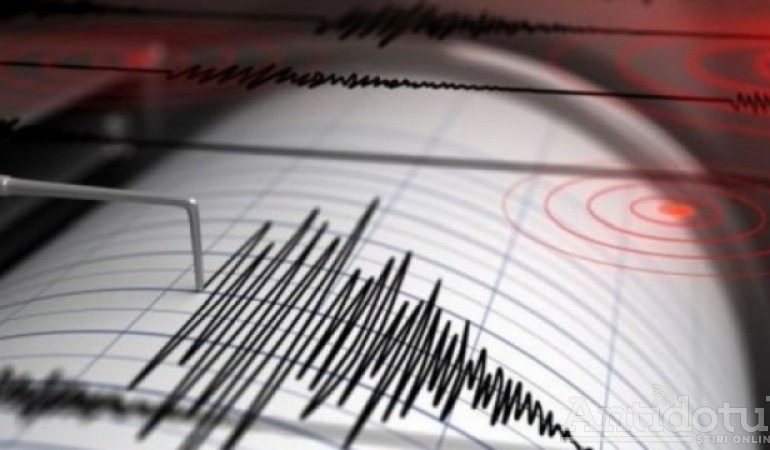Nu-i protest, ci cutremur. Trei seisme au avut loc în ultimele 20 de ore în Vrancea