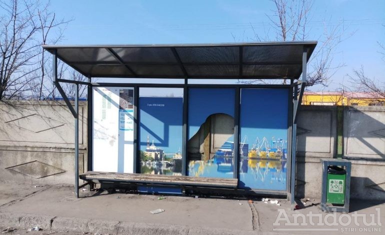 VIDEO/Maimuța PAM din Braniștea a distrus o stație de autobuz din Galați