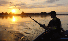 Ministerul Agriculturii a(proape) interzis pescuitul sportiv