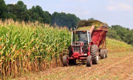 Lecție de agricultură: taxe triplate, exporturi anulate