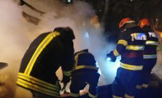 VIDEO Un om al străzii a incendiat un pet shop din Țiglina