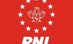 VIDEO/ PNL, sluga PSD!
