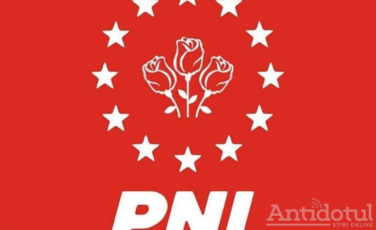 VIDEO/ PNL, sluga PSD!