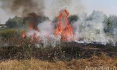 VIDEO Incendiu de vegetație uscată la Vânători. Flăcările s-au extins pe mai multe hectare de pământ