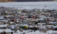 Dunărea albastră: voluntarii au adunat peste 8 tone de deșeuri din apă
