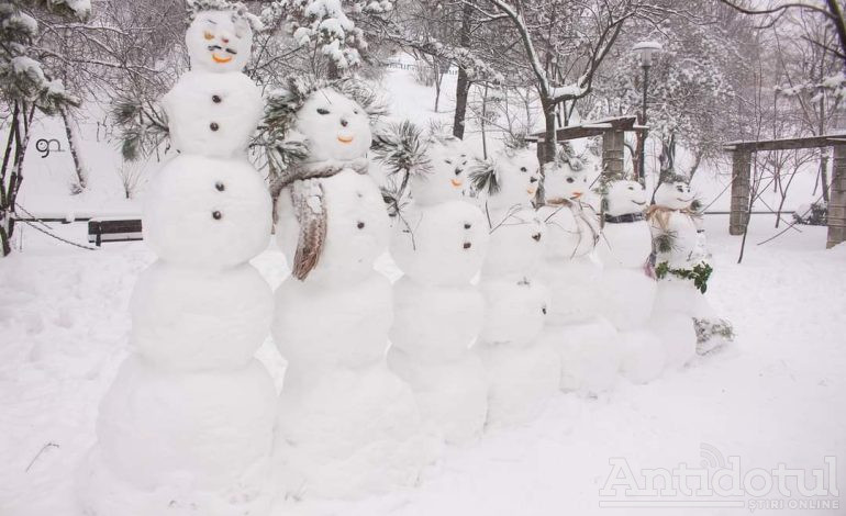 Oameni de zăpadă, la datorie pe Faleză!