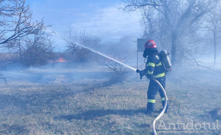 VIDEO/Incendiu de proporții la Brateș. Flăcările s-au întins pe o suprafață de 15 hectare