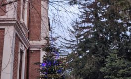 VIDEO Feliz Navidad: Arhiepiscopia Dunării de Jos a împodobit bradul de Paște