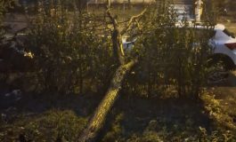 VIDEO Furtună în Galați: zeci de copaci rupți, mașini și case avariate, o barcă în derivă pe Dunăre