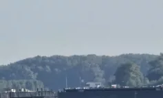 VIDEO Om la apă! Mai multe bărci și un elicopter caută un bărbat căzut în Dunăre