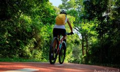 Pistă pentru bicicliști între Galați și Pădurea Gârboavele
