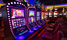 Legea păcănelelor a trecut. Jocurile de noroc se mută cu cățel și păcănel în online