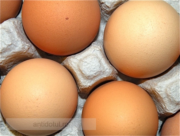 Cine scumpește azi un ou, nu-i politician, ci bou!