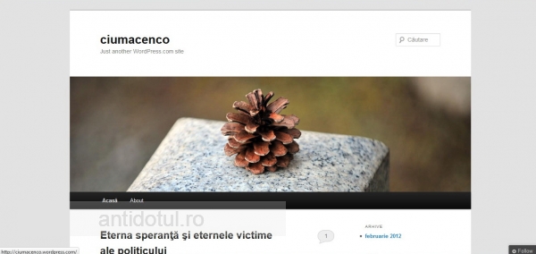 Viceprimarul Ciumacenco și-a făcut blog