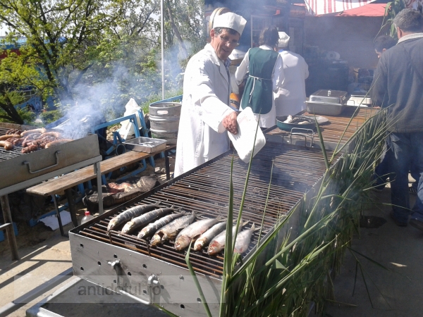 Primarul Marius Stan: “E prea multă iarbă la Festivalul Scrumbiei”