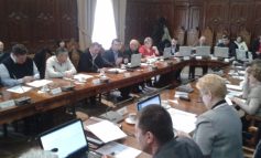 PDL, partid de dilii: consilierii PDL s-au abținut cînd s-a votat excluderea lui Aramă
