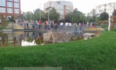 Decizie scandaloasă a Primăriei Galați: nu călcați iarba în Parcul Viva!