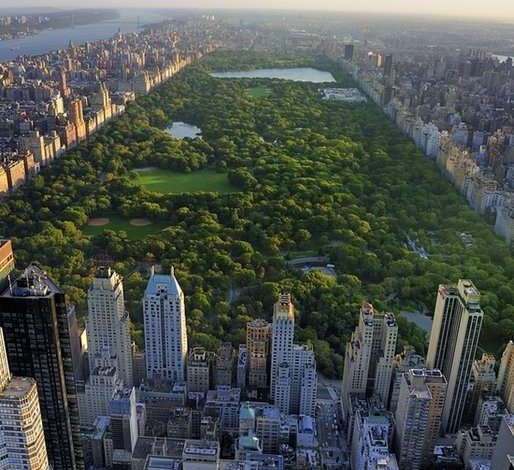 Central Park e o glumă proastă, în comparație cu Parcul Viva (foto)