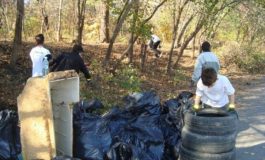 Culmea nesimțirii: gălățenii nu mai aruncă gunoiul sub preș ci direct în pădure!