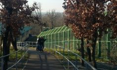 De Crăciun, Grădina Zoo din Galați este întredeschisă