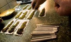 Piața drogurilor din Galați: există cerere puternică pentru cannabis (video)