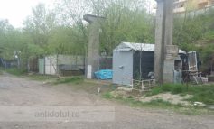 S-au schimbat vremurile: primarul Ionuț Pucheanu refuză să se plimbe cu buldozerul
