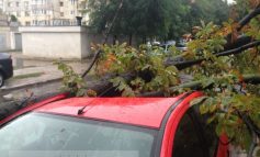 Galați, jurnal de front: mașini distruse, copaci doborîți, străzi inundate